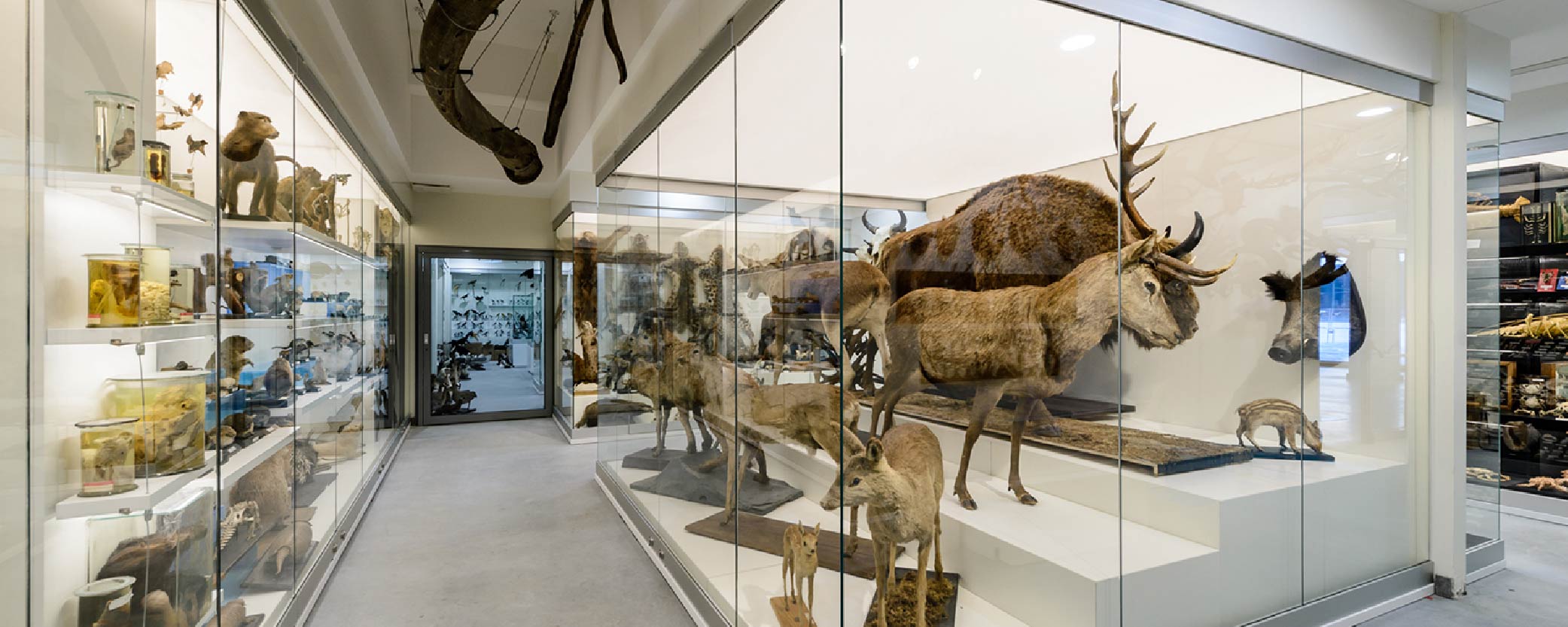 A family looks at exhibits at the zoological museum in Vilnius