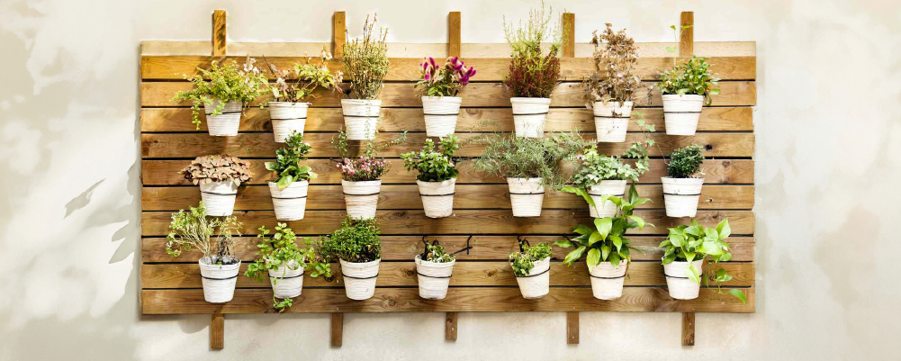 A wall with a vertical garden in a living room