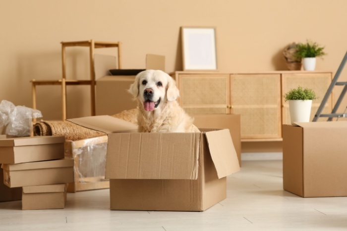 self-storage solutions for moving
